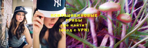 дурь Карталы