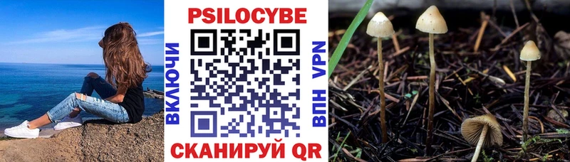закладки  Салехард  Галлюциногенные грибы ЛСД 