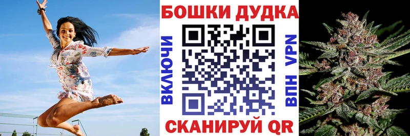 Конопля сатива  купить наркотик  Салехард 